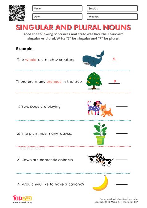 singular and plural nouns worksheet